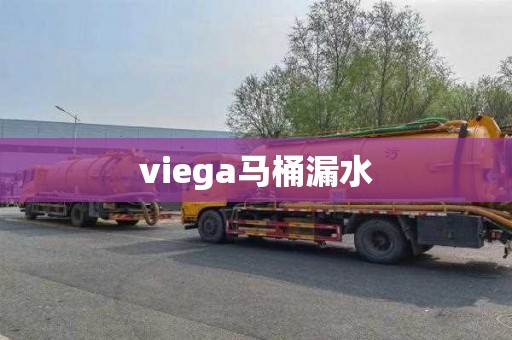 viega馬桶漏水